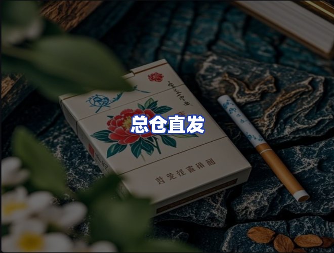 专业团队